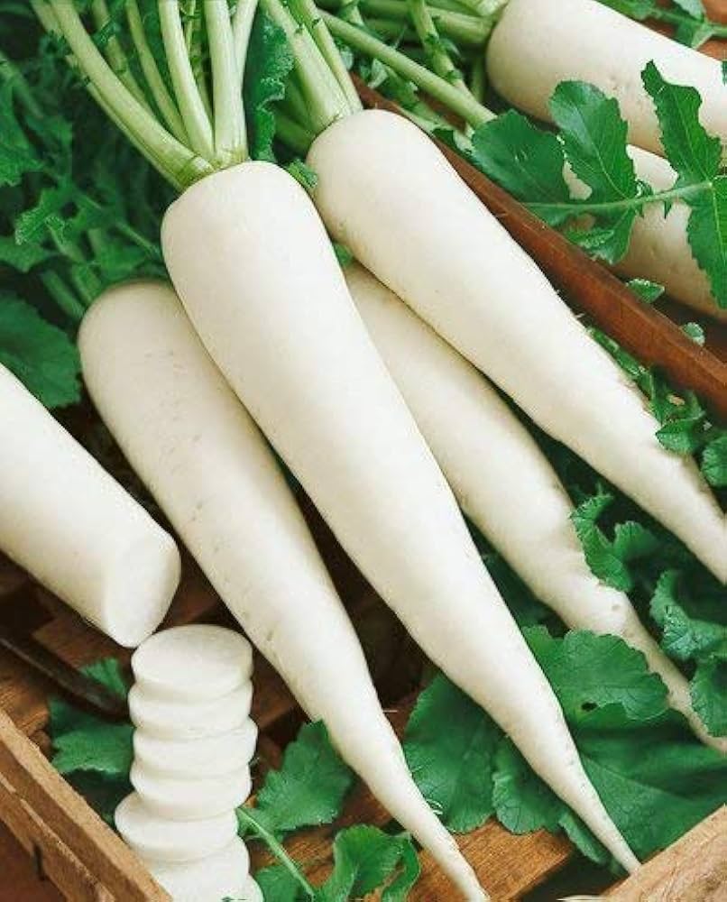 Radish (mooli)