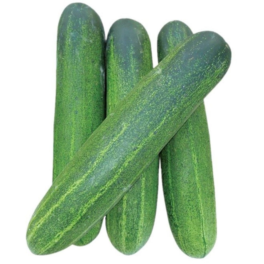 Cucumber(khira)